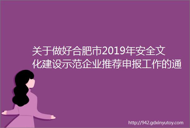 关于做好合肥市2019年安全文化建设示范企业推荐申报工作的通知