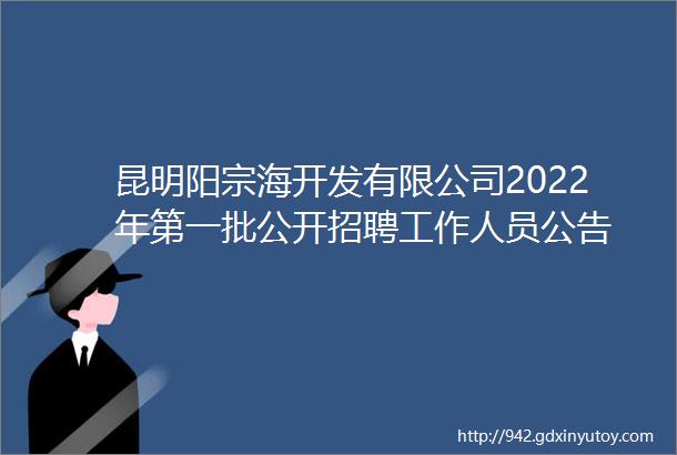 昆明阳宗海开发有限公司2022年第一批公开招聘工作人员公告